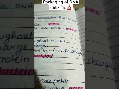 Packaging of DNA🧬