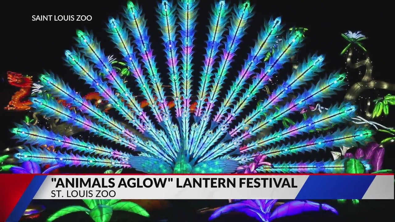 St. Louis Zoo kicking off 'Animal Aglow' lantern festival next month