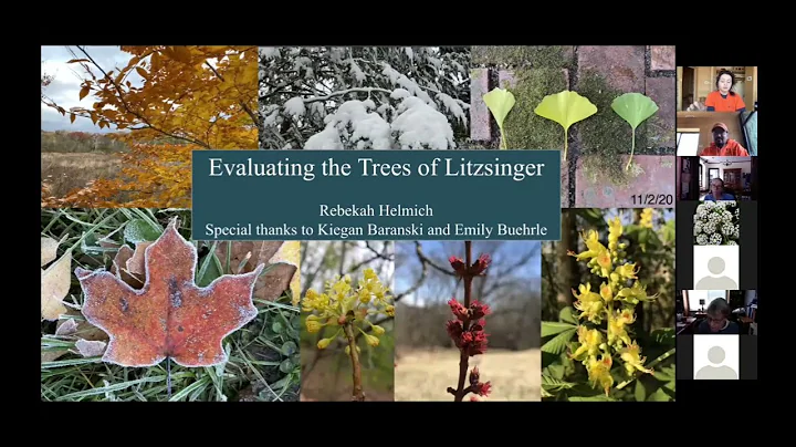 Evaluating the Trees of LREC - Rebekah Helmich