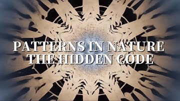 PATTERNS IN NATURE | THE HIDDEN CODE