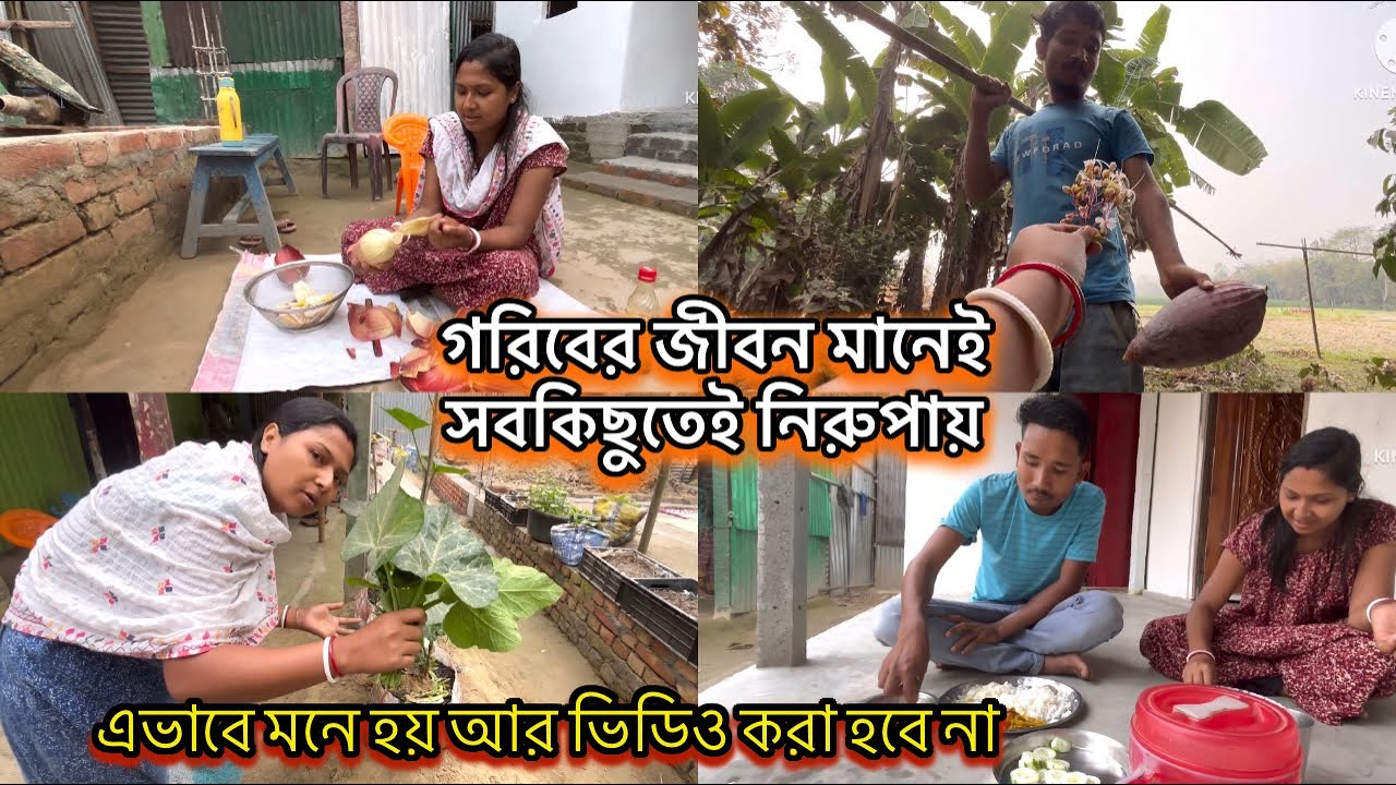 গরিবের জীবন মানেই সবকিছুতেই নিরুপায় | এভাবে মনে হয় আর ভিডিও করা হবে না || গাছের টাটকা শাক || 