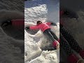 Paloma haciendo su ángel con nieve