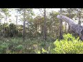 The Bigfoot Researcher's Journal Episode 1- PROOF SASQUATCH ARE REAL