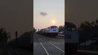 WILDFLOWER (cover music video clip) - Resti Sahwalia.