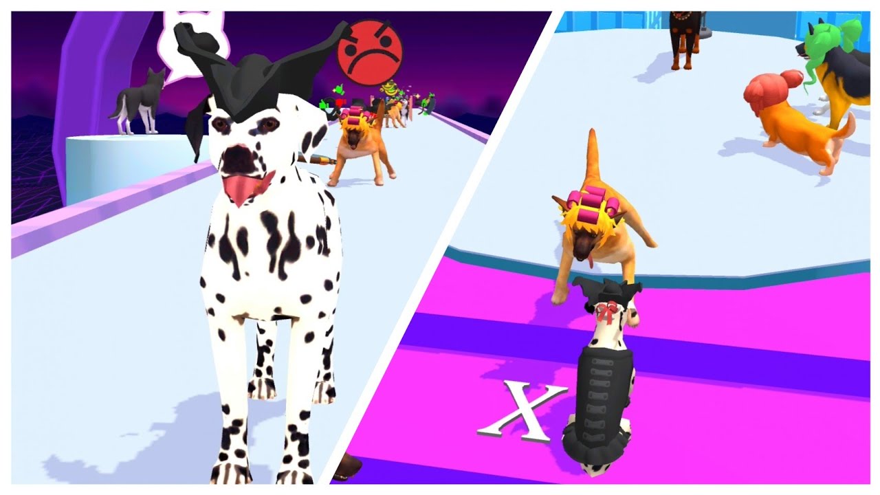 GROOMER RUN 3D 🐕🍖🐕‍🦺 Gameplay All Levels iOS, Android Walkthrough Game