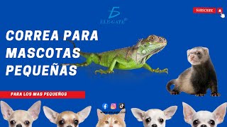Correa Para Mascotas Pequeñas Elegate