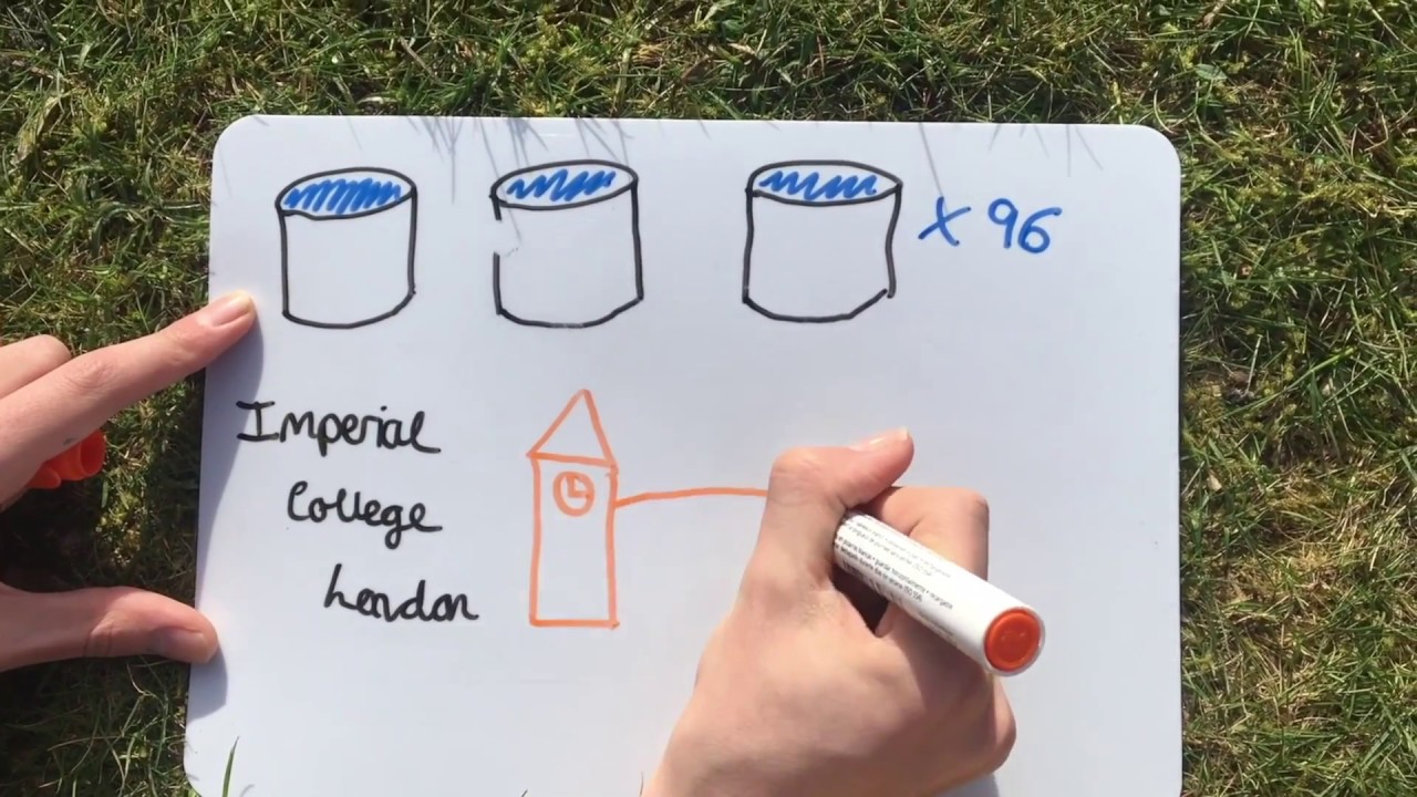 Life in a warming world - Summer Science Exhibition 2018