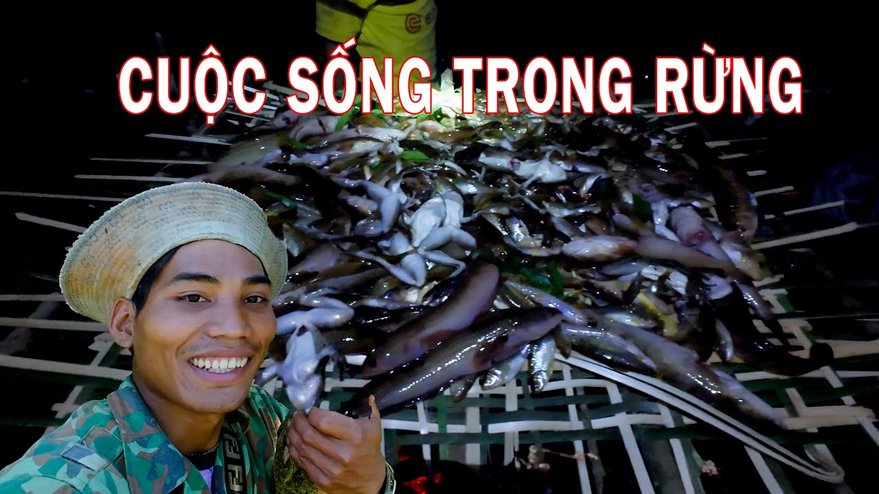 Sống Trong Rừng Sâu