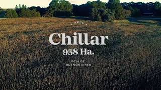Chillar 958 ha