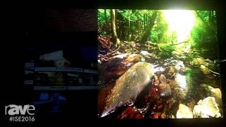 ISE 2016: Deepsky Debuts New Generation LED Display with 0.9mm Pixel Pitch