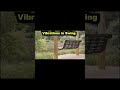 509. Mechanical Vibrations Example|Swing|Simple Harmonic Motion|Hindi
