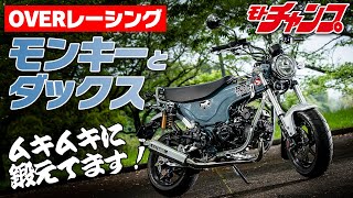 OVERレーシングのモンキー125とダックス125をチェック！