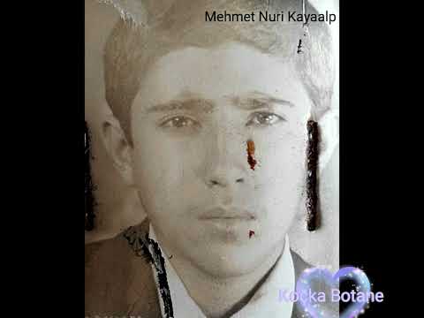 Telebeyên mekteba Şirnex(Şırnak