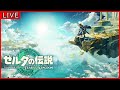 ティアキンAny%RTA(自己ベ更新41:11)
