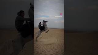 معروف من مصر ل لندن 🐎❤️🧿