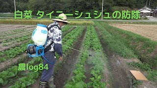 白菜 タイニーシュシュの防除 農log84
