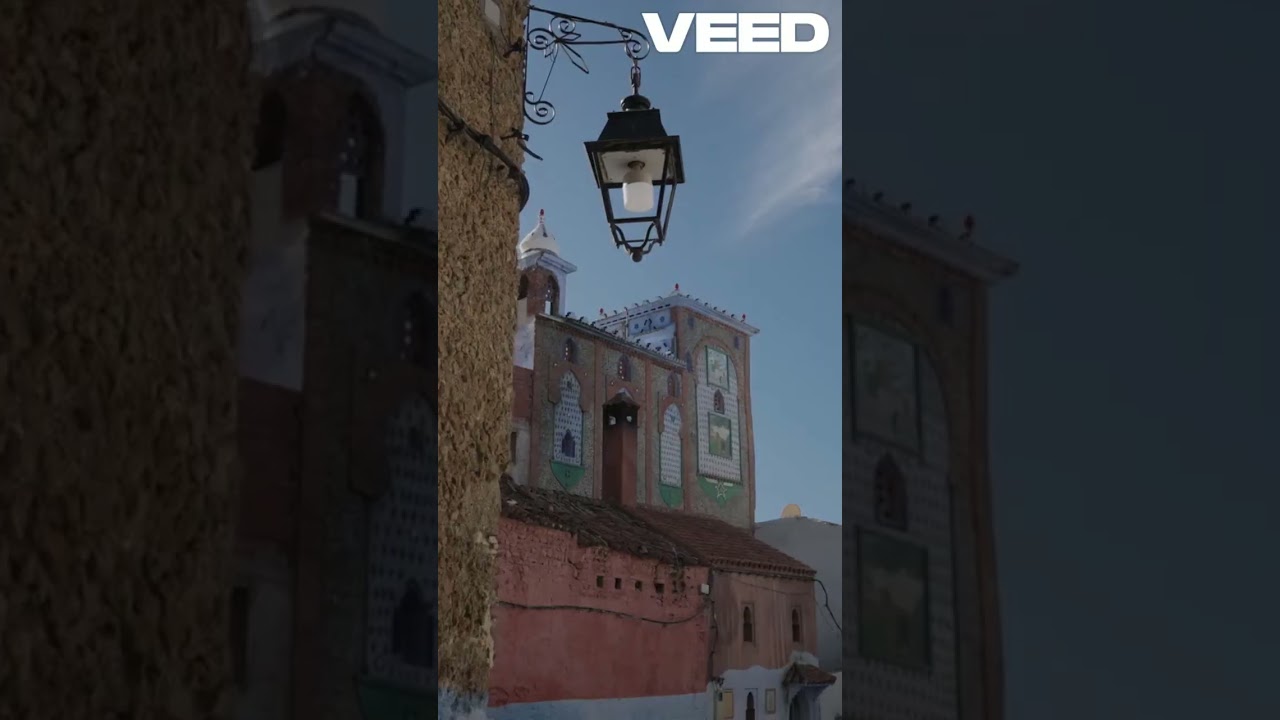 Town Where Cats Can Vote? Only in Spain! 🐱 