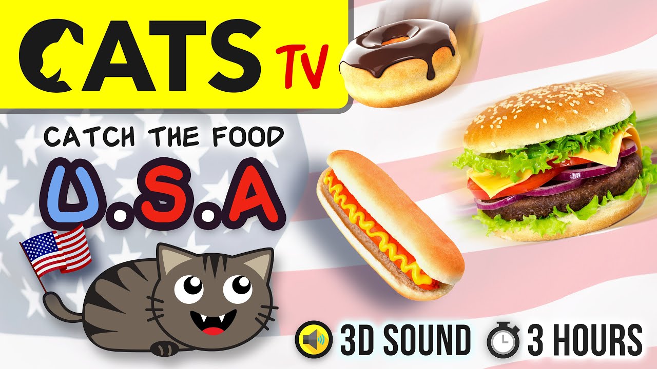GAME FOR CATS USA Food 🇺🇸 3 HOURS 60fps [CATS TV] YouTube