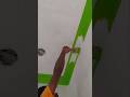 ceiling border design || bedroom colour combination #wall #interiordesign #shot