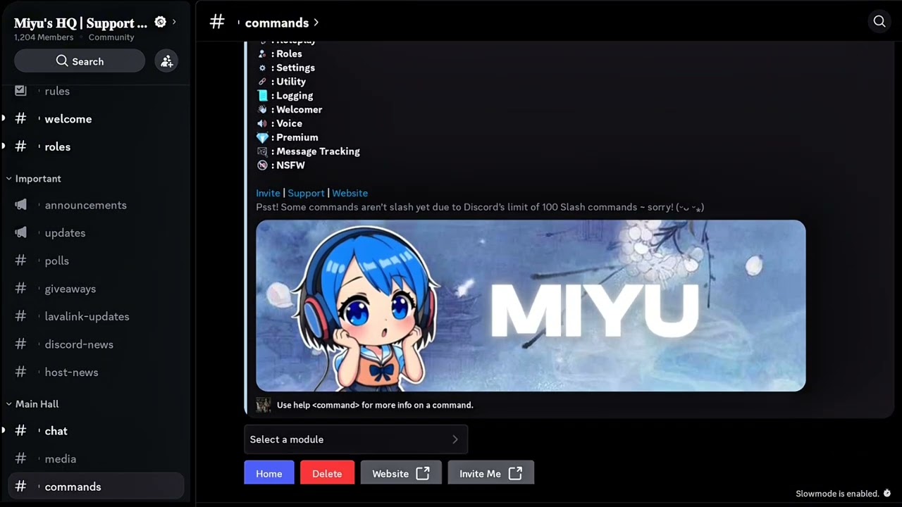 Is This Bot The Upcoming Best Discord Bot Ever?  |  Miyu Multipurpose Music App