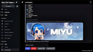 Is This Bot The Upcoming Best Discord Bot Ever?  |  Miyu Multipurpose Music App