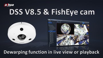 DSS 8.5 - FishEye Camera dewarping