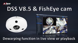 DSS 8.5 - FishEye Camera dewarping screenshot 5