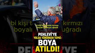 Savaşı destekleyen Pehlevi'ye yolda yürürken tepki: Boya atıldı!