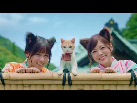 [노기자카46] 쟈란(じゃらん) CM