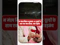 Dewas Groom Fraud Case: न दुल्हन मिली न शादी हुई, 42 दूल्हों से बड़ा फर्जीवाड़ा | Navbharat Live