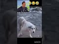 ##funnyexpression ##foolcomedy ##black beauty🤣🤣
