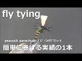 fly tying / peacock parachute / miyagikebari (4K) fly fishing / ﾌﾗｲﾌｨｯｼﾝｸﾞ~ ﾋﾟｰｺｯｸﾊﾟﾗｼｭｰﾄ~