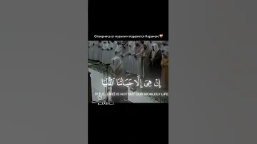 Beautiful اكسبلور القزابري Kabutar Pigeon تصويري Kabootar Mbc لايك دويتو 