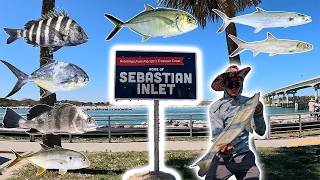Fishing Sebastian Inlet T-Dock & South Jetty | Melbourne, FL