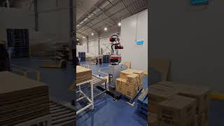 Palletizing Robot with Interlayer Gripper | Dual-Function Automation