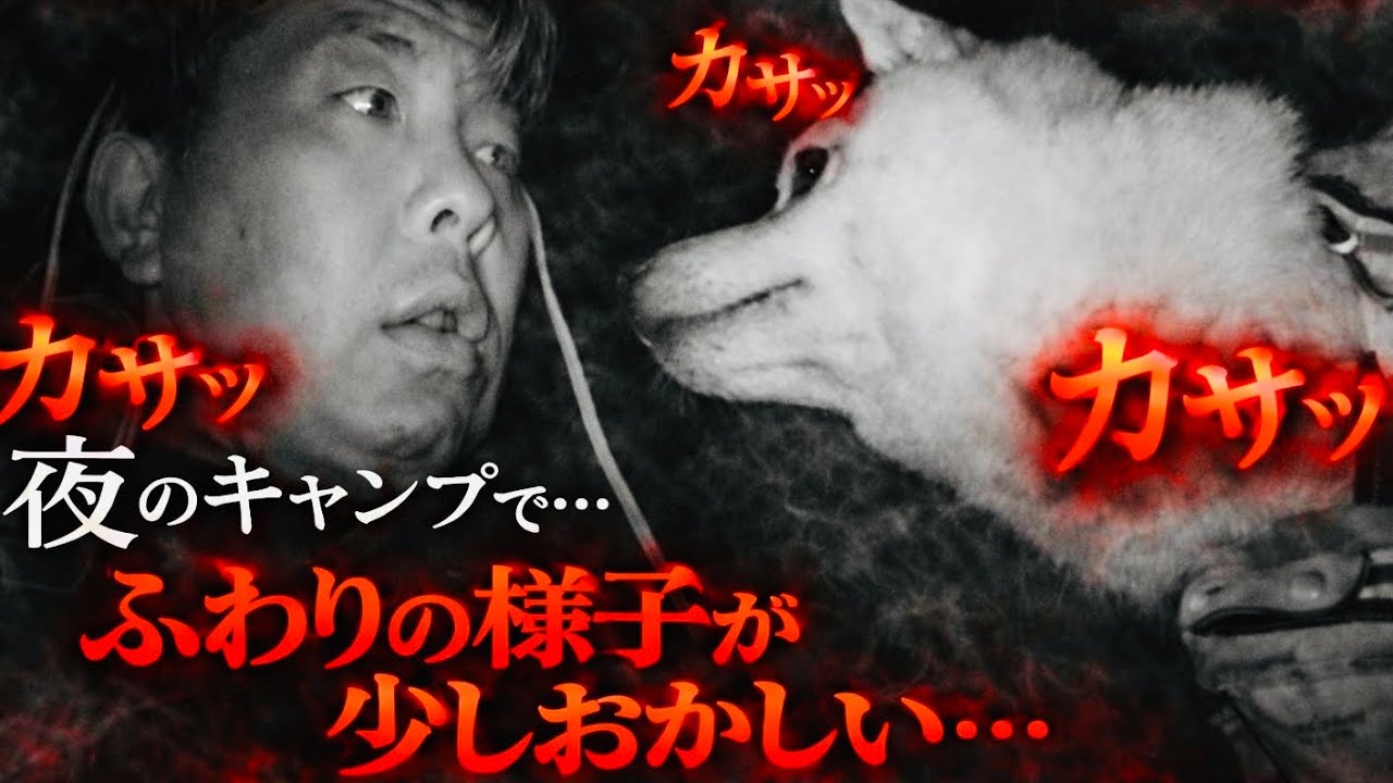 【リベンジ】あの場所で再びキャンプしたら異常が起きた..