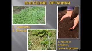 видео: Компост картинка: Компост