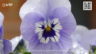 Suspecting My Boyfriend Of Secretly Recording Me In The Bathroom