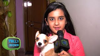 Download lagu Ghar Ghar Roshni Walia aka Ajabde Gives Sneak Peek Into Her Sprawling Home EXCLUSIVE Ghar Ghar Roshni Walia aka Ajabde Gives Sneak Peek Into Her Sprawling Home EXCLUSIVE