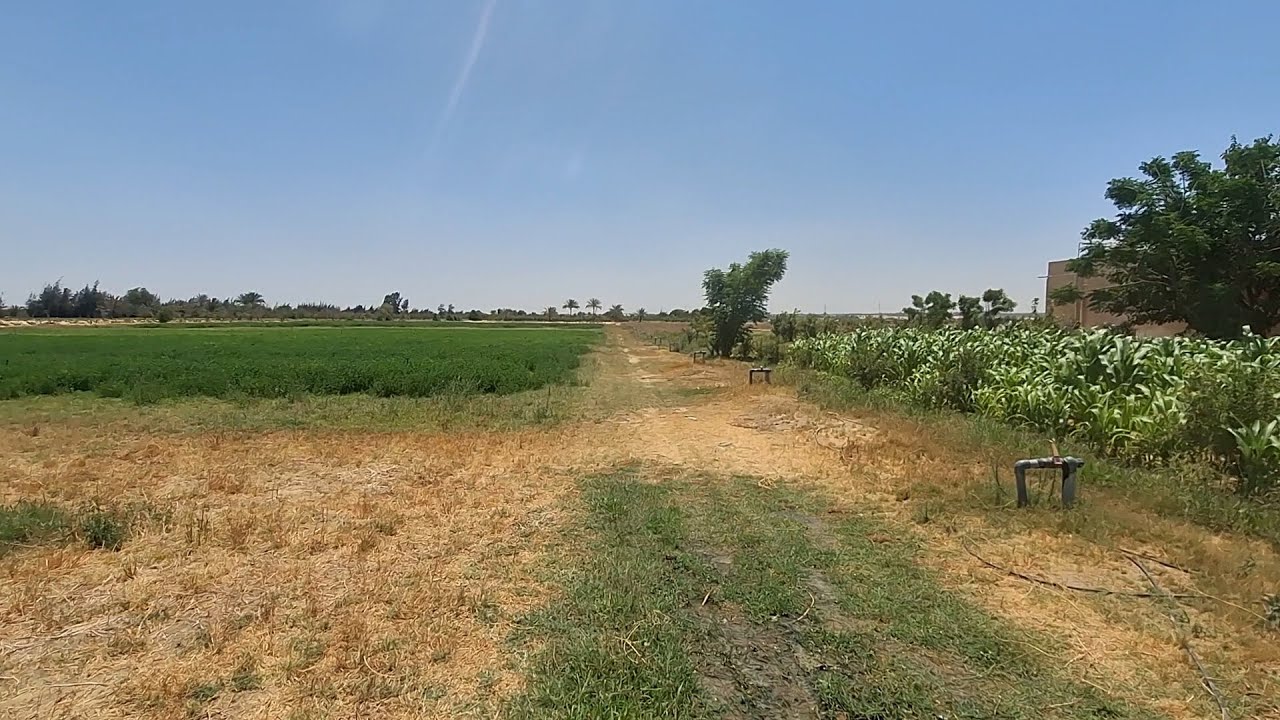 مزرعة انتاج حيواني 11 فدان مش محتاجة كلام الصورة بتتكلم في وادي النطرون طريق مصر اسكندرية الصحراوي