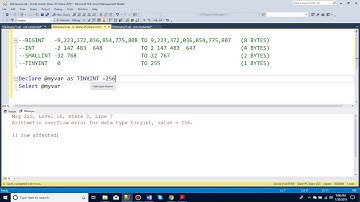 Integer data types in SQL