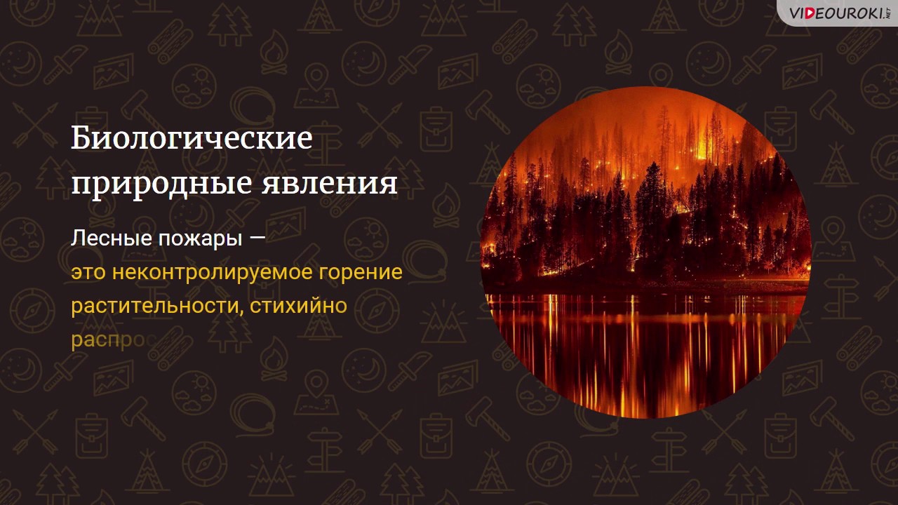 Гидрологические Явления Реферат Гидрологические Явления Реферат