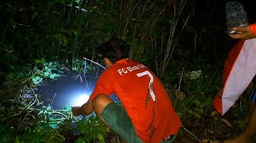 Cắm Câu Cá Lóc Ngày Mưa Bão | Nhịp Sống Mưu Sinh