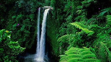 Âm nhạc chữa bệnh cho rối loạn lo âu, trầm cảm, sợ hãi,  và loại bỏ suy nghĩ tiêu cực