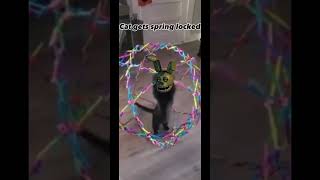 Cat Gets Spring Locked