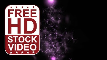 Free Stock Videos – abstract animated purple lights and particles on black background 2D animation