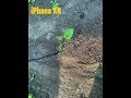 IPhone XR vs ￼galaxy a17