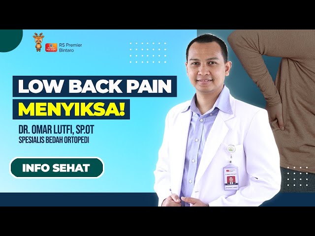 Low Back Pain atau Nyeri Pinggang; Gejala, Penyebab dan Penanganan class=