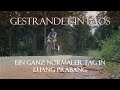 Gestrandet in Laos - Ein ganz normaler Tag in Luang Prabang | Fahrrad-Weltreise | Chris Fritze