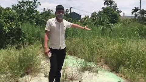 Hót hót chỉ gần 6tr/m2 đất thổ cư văn giang